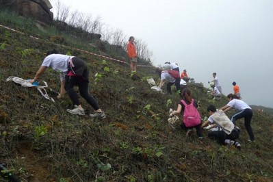 今年逾700人報名參加，為一幅去年被山火燒去大范圍林木的山坡種植約6,000棵樹苗。